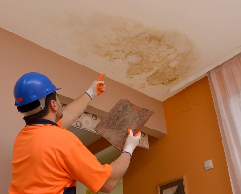 devis-degats-des-eaux-peinture-renovation-94-lemaire