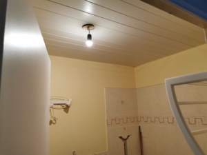 Rénovation salle-de-bain - Bry-sur-Marne-douche-italienne - Lemaire peinture renovation