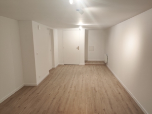 plaquiste-amenagement-sous-sol-noisy-le-grand-lemaire-peinture-renovation